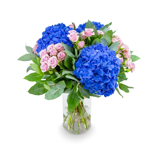 Bouquet of hydrangeas and spray roses
